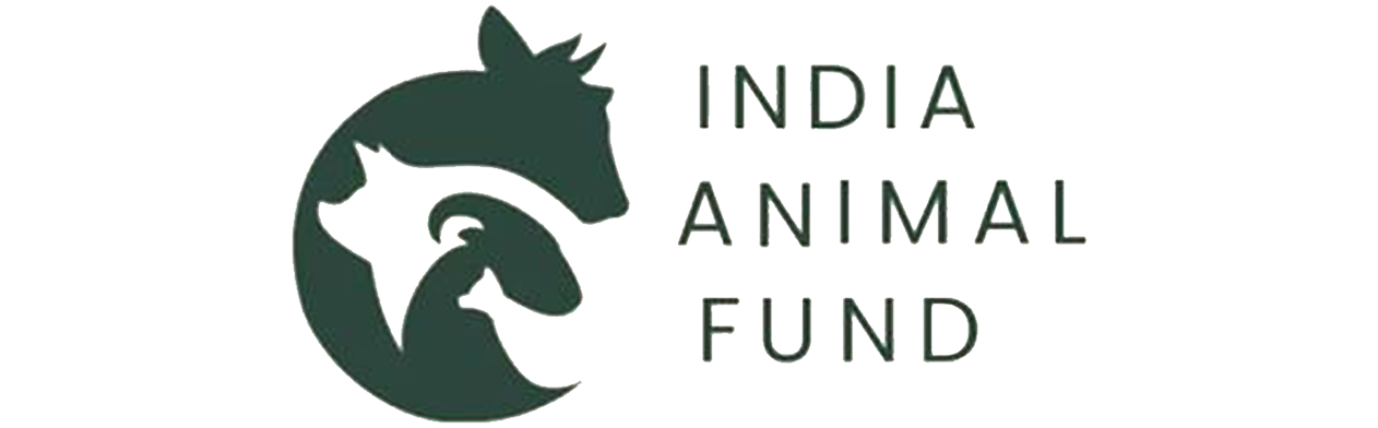 animal fund